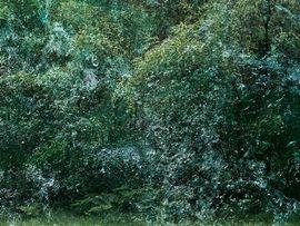 Artwork - Seascapes 6 (Large)