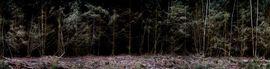 Silent, Dark and Deep 9 (Small)