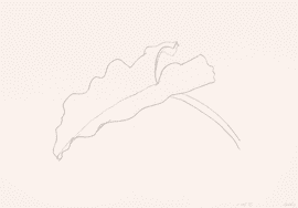 Leaf VIII