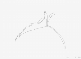 Leaf VII