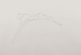 Leaf V
