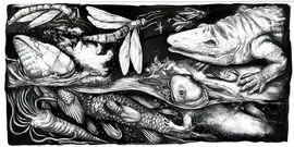 Artwork - Fish