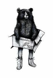 Grey Bear