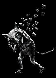 Artwork - Il Gatto