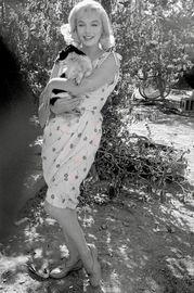 Artwork - Marilyn and Friend - The Misfits, 1960