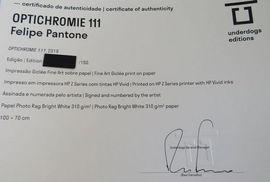 https://cdn.fairart.io/thumbnail_Felipe_Pantone_Optichromie_111_4_ed38be09dd.jpeg - 3