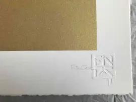 https://cdn.fairart.io/thumbnail_Fin_DAC_Velveteen_Nico_Gold_3_adce230b44.webp - 2