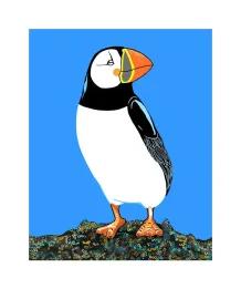 Artwork - Atlantic Puffin