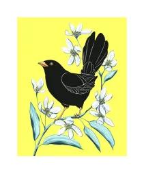 Artwork - Blackbird and Clematis