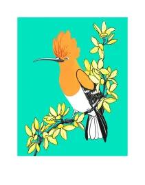 Artwork - Hoopoe and Forsythia