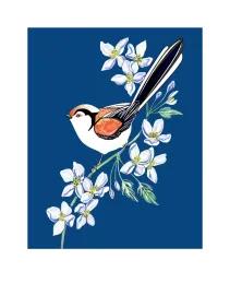 Artwork - Long Tailed Tit and Clematis
