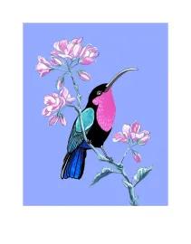 Artwork - Purple Throated Carib and Geranium