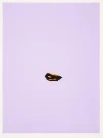 Artwork - Sneer (Lilac)