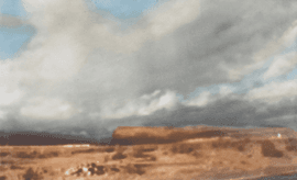 Canary Landscapes I