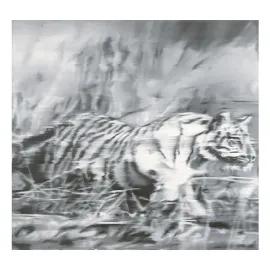 Artwork - Tiger
