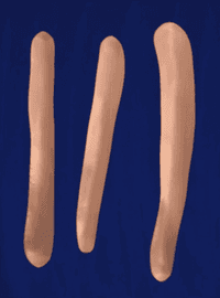 Artwork - Mr Blue