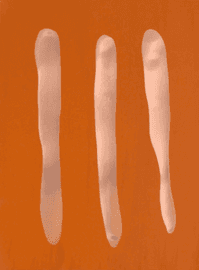 Artwork - Mr Orange
