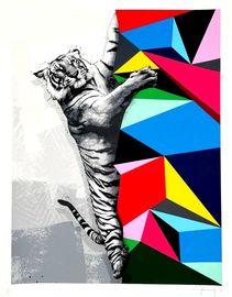 Artwork - Climb To Safety
