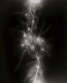 Artwork - Lightning Fields, 0011