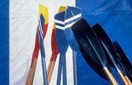Artwork - Regatta Oars