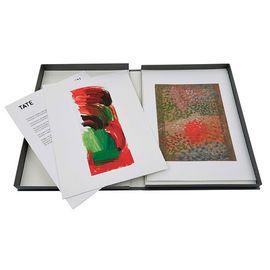 https://cdn.fairart.io/thumbnail_Howard_Hodgkin_Tate_Portfolio_2_1196f43108.jpeg - 1