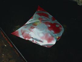 https://cdn.fairart.io/thumbnail_IMG_1360_71b548839c.JPG - 2