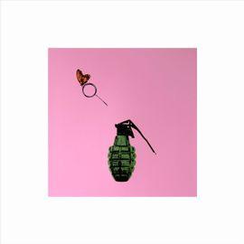 Artwork - Butterfly Effect (Pink)