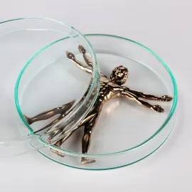 https://cdn.fairart.io/thumbnail_Imbue_Vitruvian_Man_Bronze_3_7ce5030d7f.webp - 2