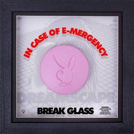 Artwork - Disco Biscuits (Playboy)