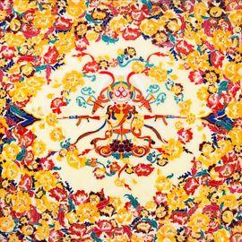 Artwork - Floral Mandala Skull