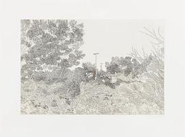 Artwork - Scottsdale