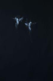 Two Lights Dance In The Night