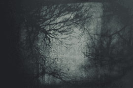 Artwork - Aqua Oscura' Winter