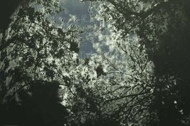 Artwork - Summer