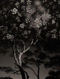 Gaia Diptych 108 (Small)