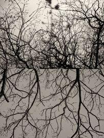Gaia Diptych 48 (Small)