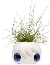 https://cdn.fairart.io/thumbnail_Javier_Calleja_Pop_Top_Planter_Pot_Blue_Eyes_1_6881ac258b.png - 0