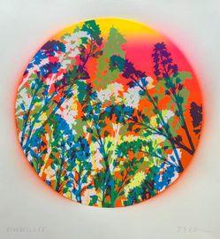 Artwork - Bluebells 09