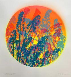 Artwork - Bluebells 12
