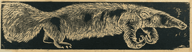 Artwork - Anteater