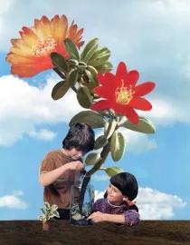 Artwork - Growing Things