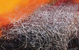 Artwork - Seeing in Phosphene