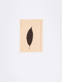 Artwork - Blatt auf Karteikarte