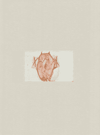 Artwork - Tränen - Schamanentrommel