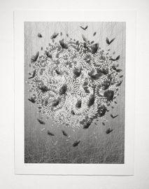 https://cdn.fairart.io/thumbnail_Kai_Sunny_Black_Angels_Silver_2_72bd2fb80d.jpeg - 1