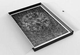 https://cdn.fairart.io/thumbnail_Kai_Sunny_Caught_By_The_Nest_Series_03_Box_Set_4_924f5d319f.jpeg - 3