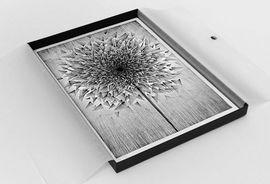https://cdn.fairart.io/thumbnail_Kai_Sunny_Caught_By_The_Nest_Series_03_Box_Set_5_e32cf6d2c3.jpeg - 4