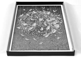 https://cdn.fairart.io/thumbnail_Kai_Sunny_Lots_of_Bits_of_Star_Series_04_Box_Set_2_da7da9fc99.jpeg - 1