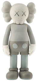 Artwork - 5YL Companion (Grey)