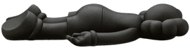 Artwork - Companion (2020 Black)
